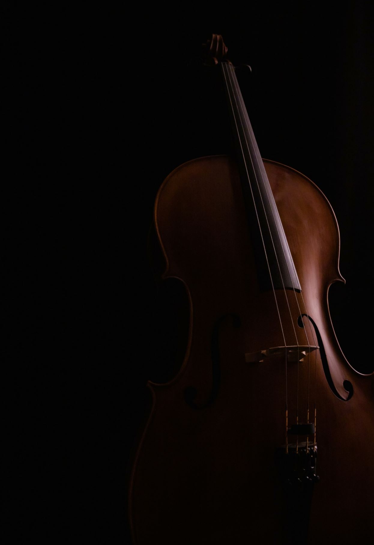 Violin Teachers